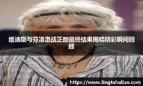 维迪斯与芬洛激战正酣最终结果揭晓精彩瞬间回顾